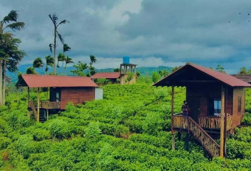 Hotelli Misty Mountain  Sinharaja