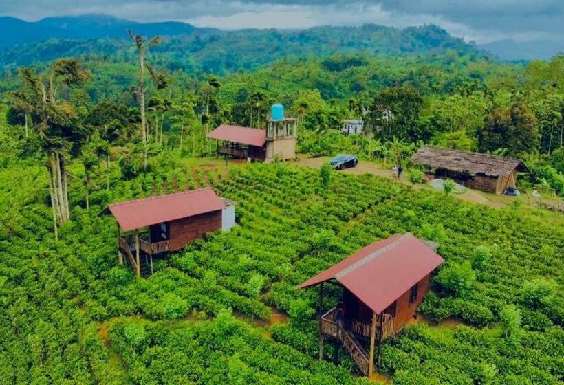 호텔 Misty Mountain  Sinharaja