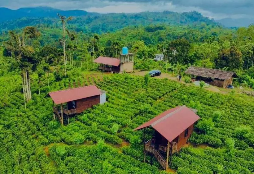 Hotelli Misty Mountain  Sinharaja