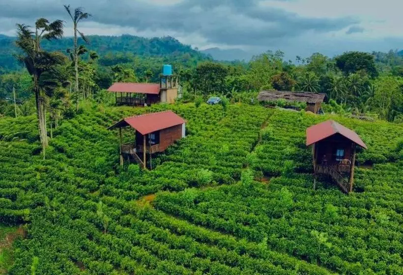 Hotelli Misty Mountain  Sinharaja