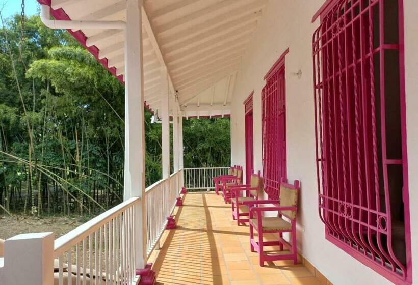 Bed and Breakfast Casa Etnika