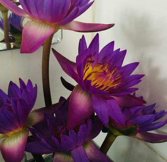 Hotel Sun & Fun Hikkaduwa