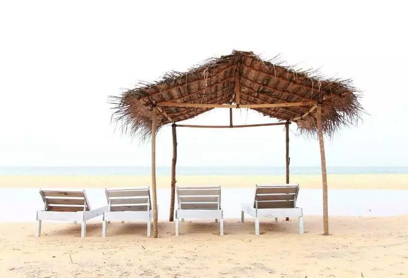 ホテル Sun & Fun Hikkaduwa