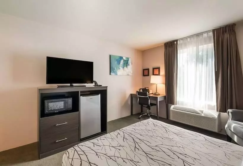 Surestay Plus Hotel By Best Western Seatac Airport