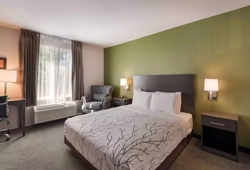 Surestay Plus Hotel By Best Western Seatac Airport