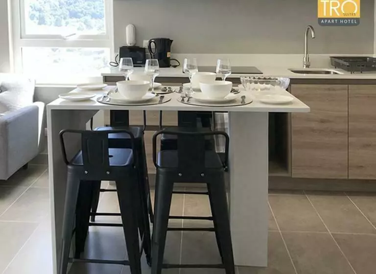 Epicentro Suites Apart Hotel   Temuco