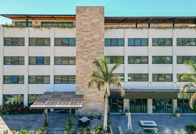 酒店 Gamma Los Cabos