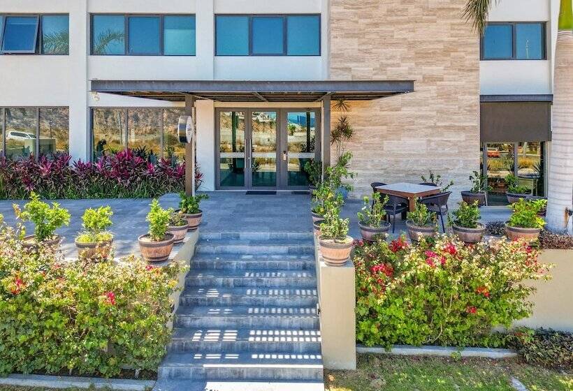 酒店 Gamma Los Cabos