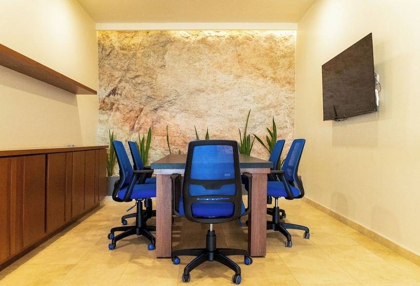 酒店 Gamma Los Cabos