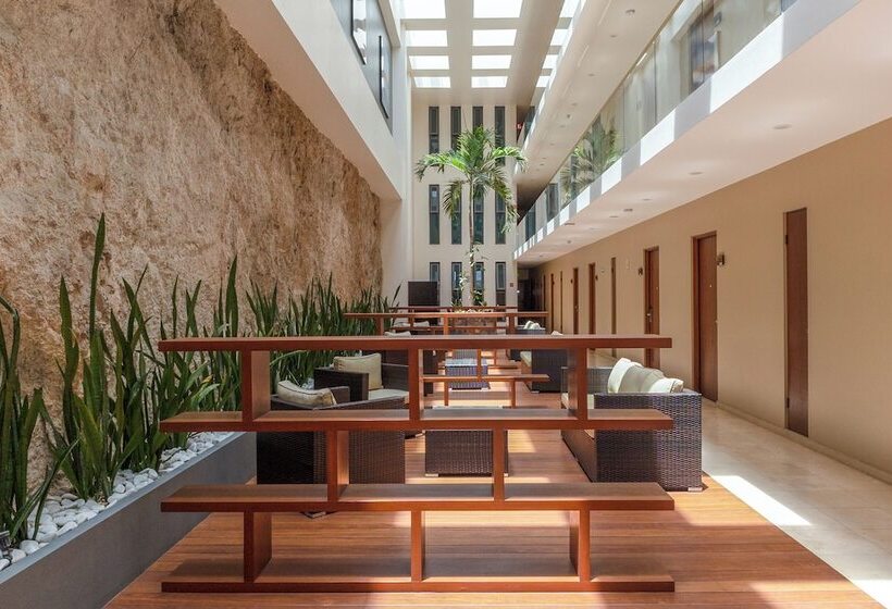 酒店 Gamma Los Cabos