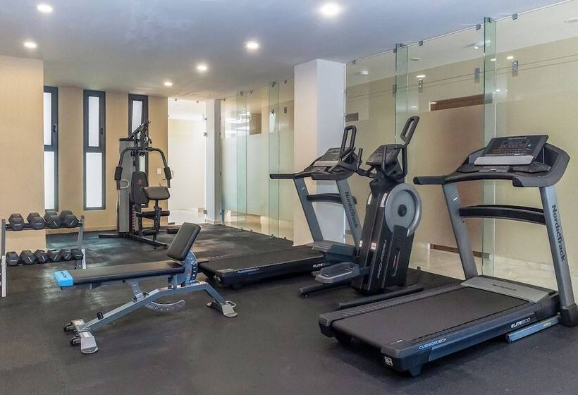 酒店 Gamma Los Cabos