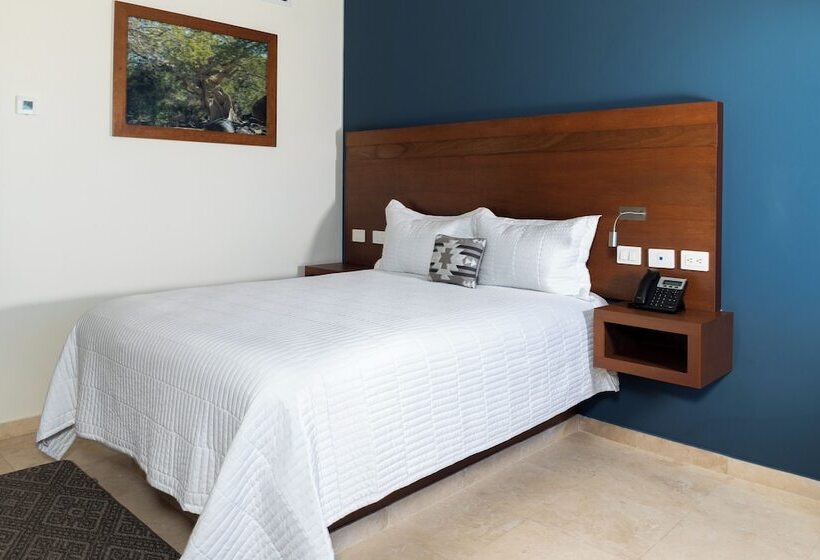 酒店 Gamma Los Cabos