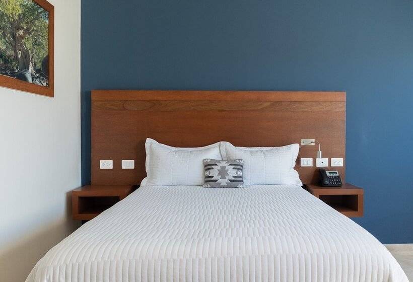 酒店 Gamma Los Cabos