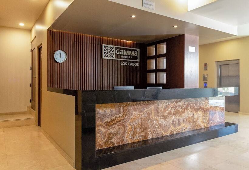 酒店 Gamma Los Cabos