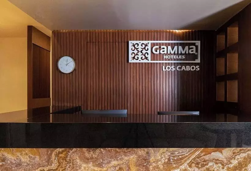 ホテル Gamma Los Cabos