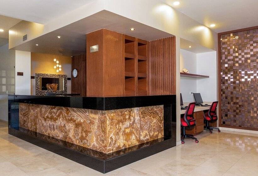 酒店 Gamma Los Cabos