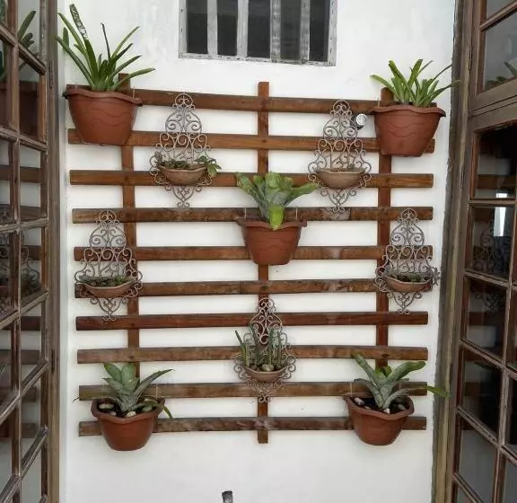 ユースホステル Pousada Cores Da Passarela   Sob Nova Direção