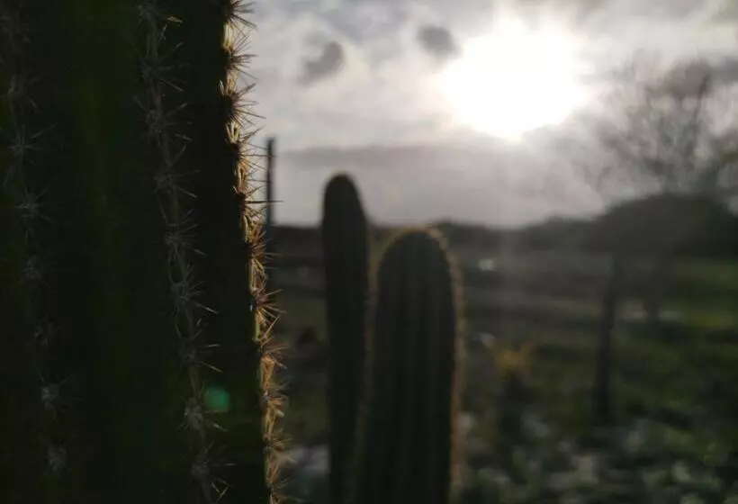 Hotelli Pousada Céu Azul