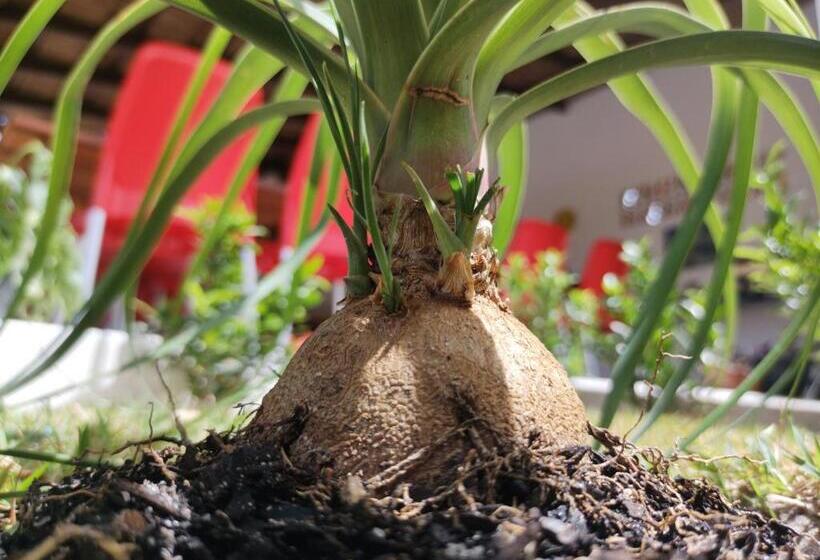 هتل Pousada Céu Azul