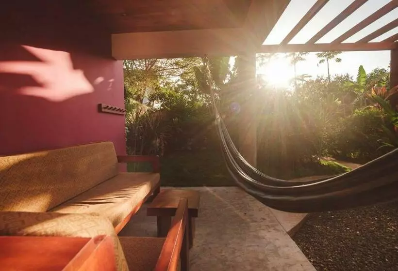 Iluminar Beachfront Suites