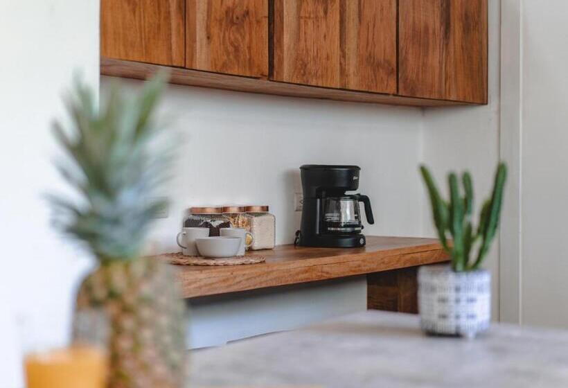 پانسیون Cuatro Vientos Lodge & Apartments