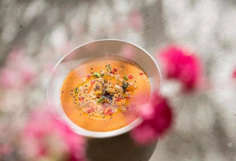 Hotelli Ecole Olargues   Chambres & Restaurant   Teritoria