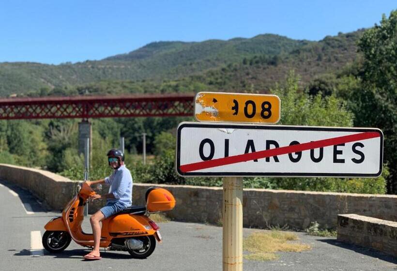 בית מלון כפרי Ecole Olargues Chambres & Restaurant Teritoria