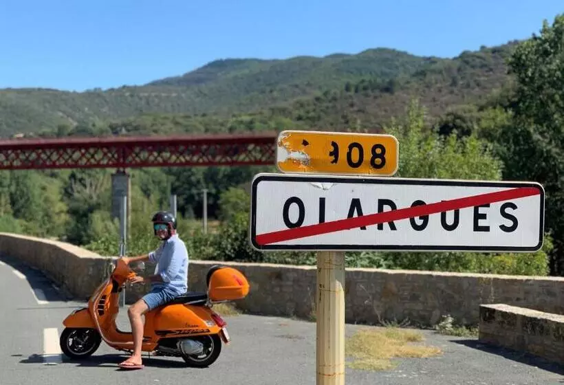 Hotelli Ecole Olargues   Chambres & Restaurant   Teritoria