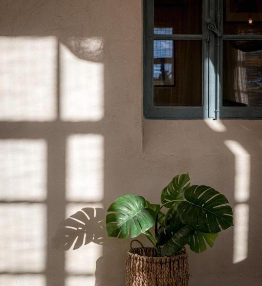 בית מלון כפרי Ecole Olargues Chambres & Restaurant Teritoria