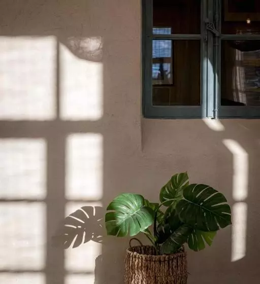 Hotelli Ecole Olargues   Chambres & Restaurant   Teritoria