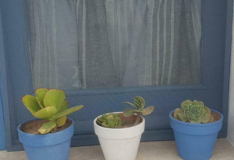 ペンション Dimora Quattro Vanelle