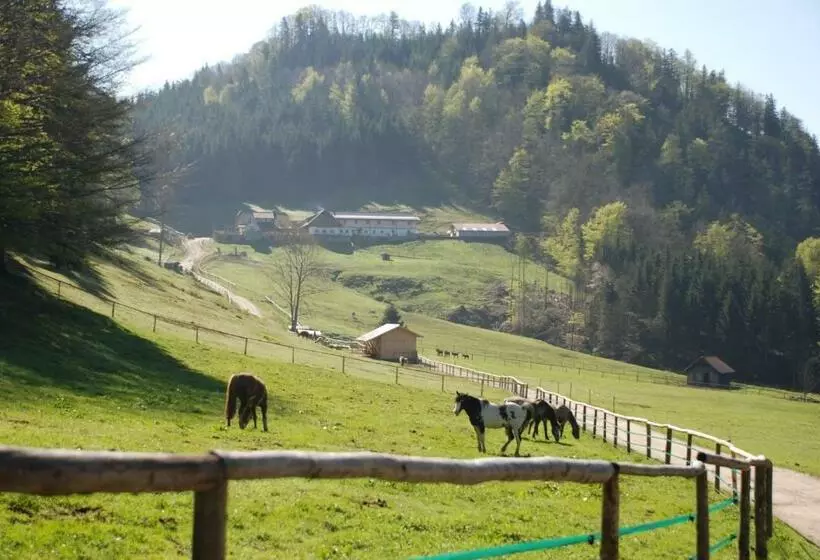 ペンション Ferienwohnung Hochsteinalm