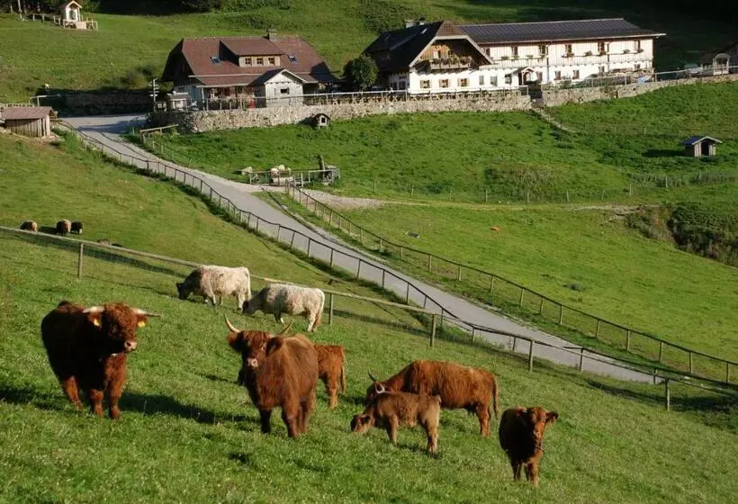 ペンション Ferienwohnung Hochsteinalm