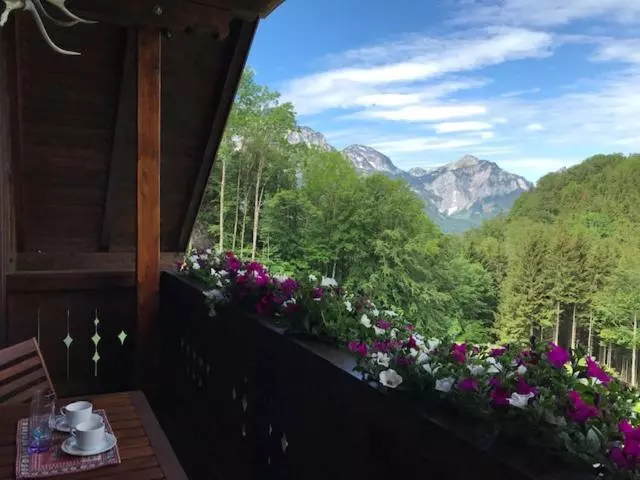 ペンション Ferienwohnung Hochsteinalm