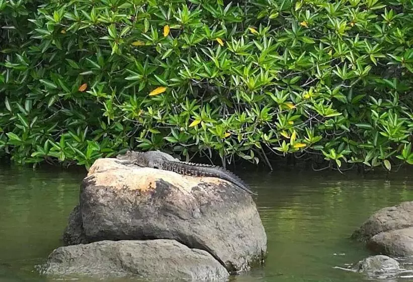 Aamiaismajoitus (B&B) Vivid Lanka