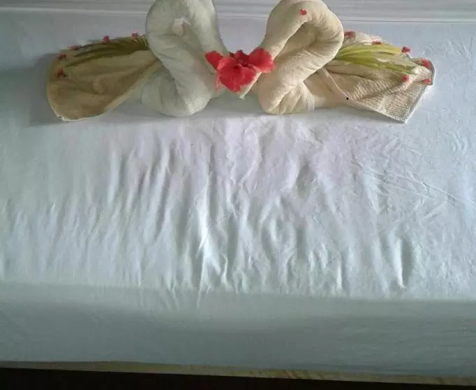 Aamiaismajoitus (B&B) Vivid Lanka