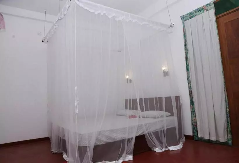 Aamiaismajoitus (B&B) Vivid Lanka