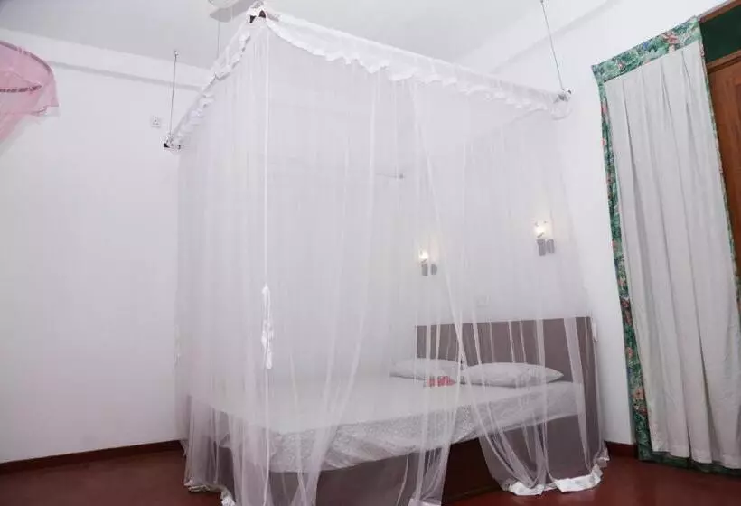 Aamiaismajoitus (B&B) Vivid Lanka