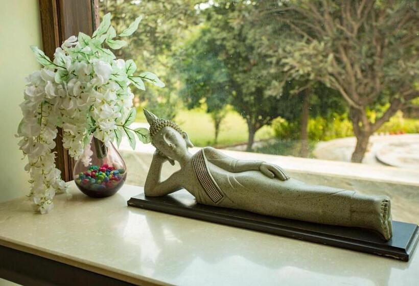 בית מלון כפרי Avanti Retreat  Farm Stay