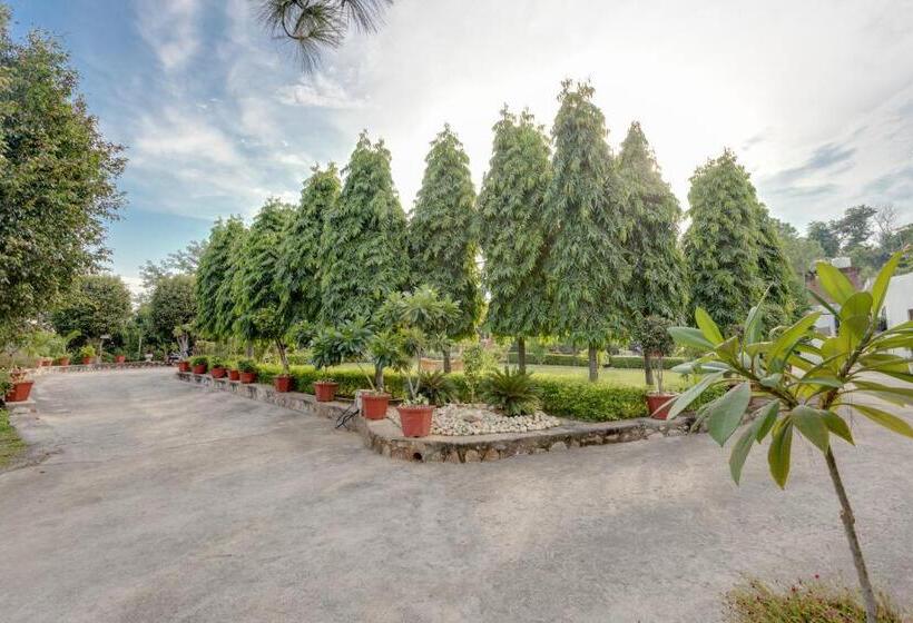 בית מלון כפרי Avanti Retreat  Farm Stay