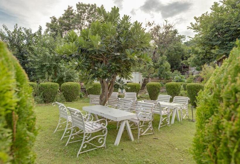 בית מלון כפרי Avanti Retreat  Farm Stay