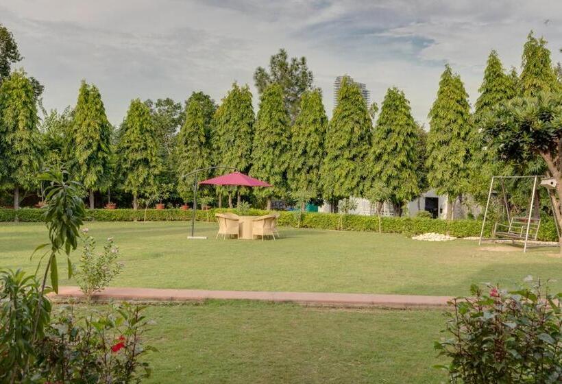 בית מלון כפרי Avanti Retreat  Farm Stay