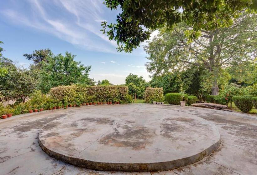 בית מלון כפרי Avanti Retreat  Farm Stay