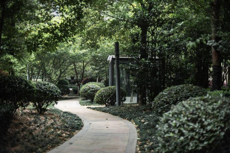 בית מלון כפרי Luoyang City·henan Province· Spring Shun