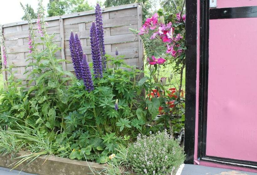 فندق Off The Rails