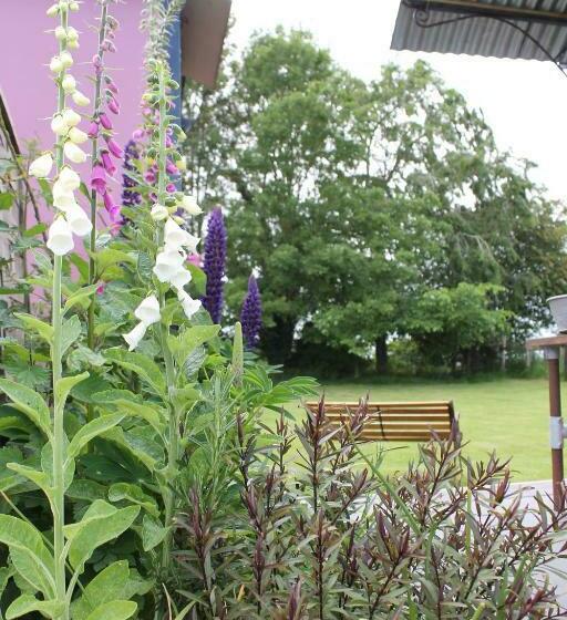 فندق Off The Rails