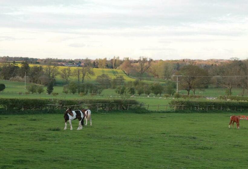 فندق Off The Rails