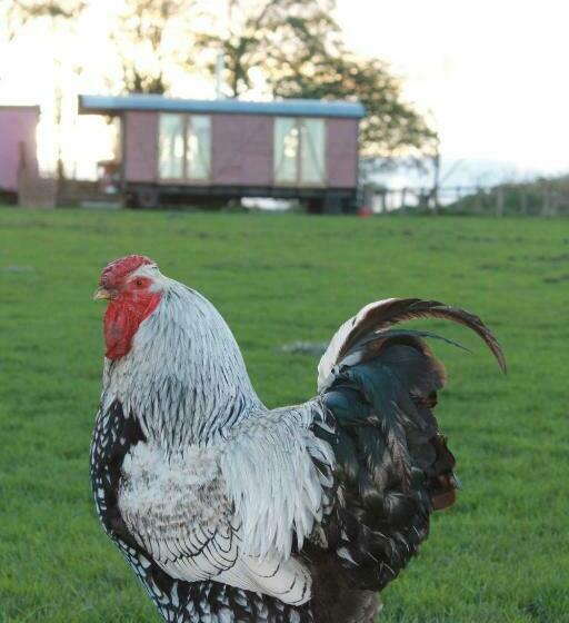 فندق Off The Rails