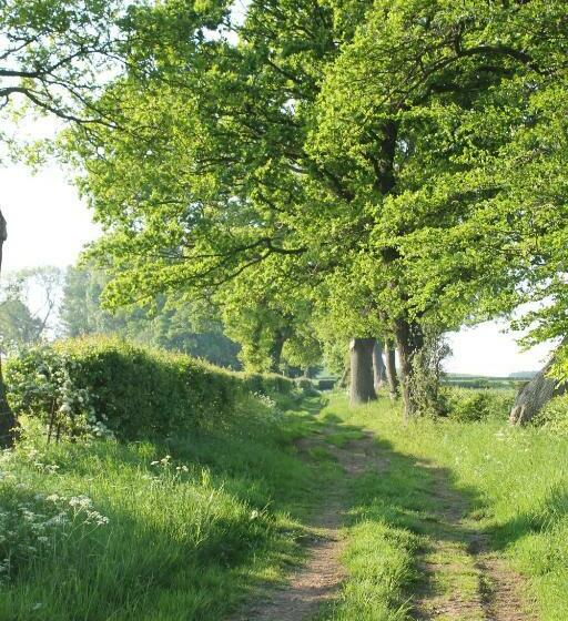 فندق Off The Rails