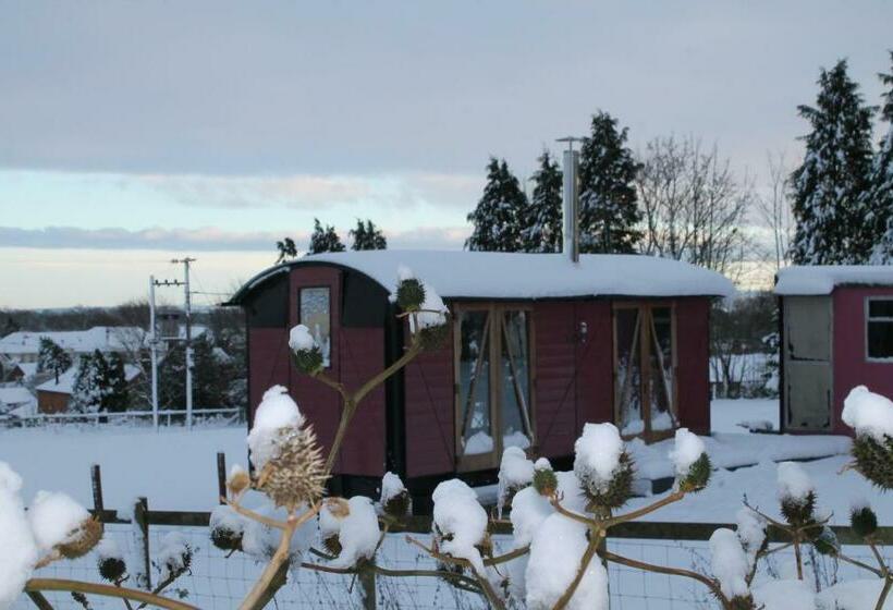 فندق Off The Rails